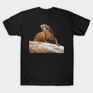 Sensing Danger T-Shirt